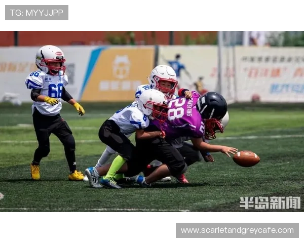 半岛体育官方网站入口最新登录指南与安全保障措施详解