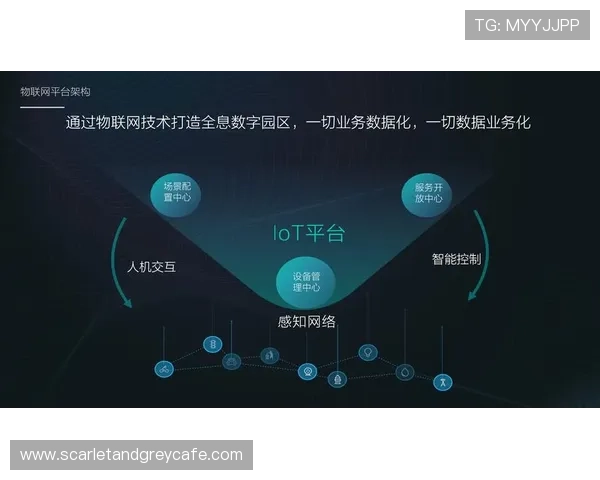 三亿体育推动体育产业数字化转型实现线上线下融合发展打造全新体育生态圈