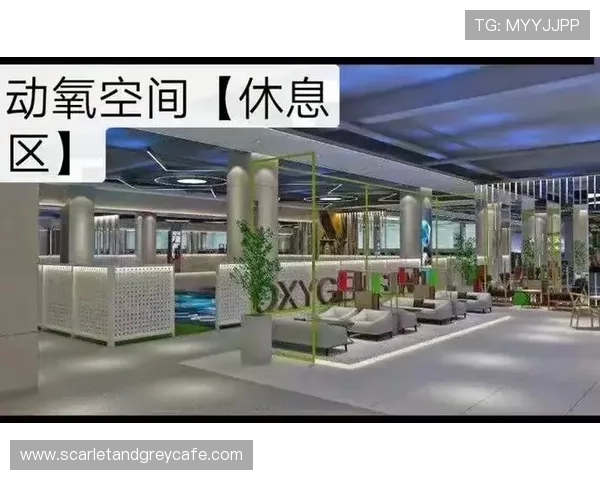 明发体育app推出个性化运动计划,满足不同用户健身需求 明发体育app推出个性化运动计划,满足不同用户健身需求