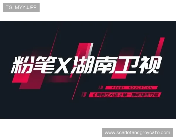 芒果体育网址登录遇到问题怎么办？详细解决方案指南
