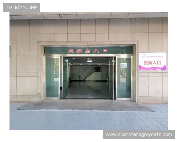 U体育地址登录入口详细操作流程，帮助用户轻松解决登录难题与账号安全问题