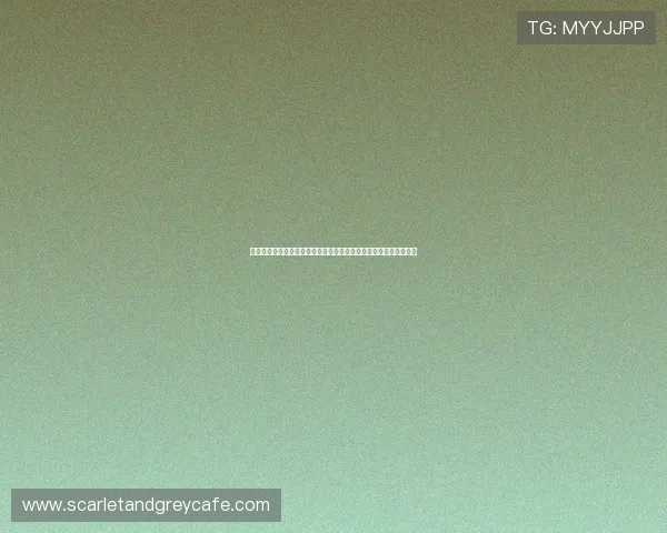 开云棋牌网页版游戏玩家评价与口碑分析，了解真实用户的使用体验